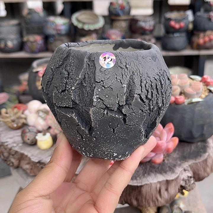 陶你们说的都不想