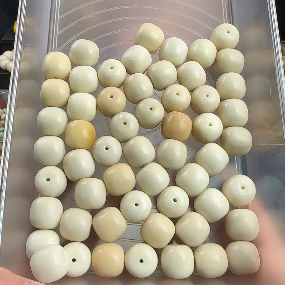 菩提根/象牙果手串微瑕牙果卡20桶56颗