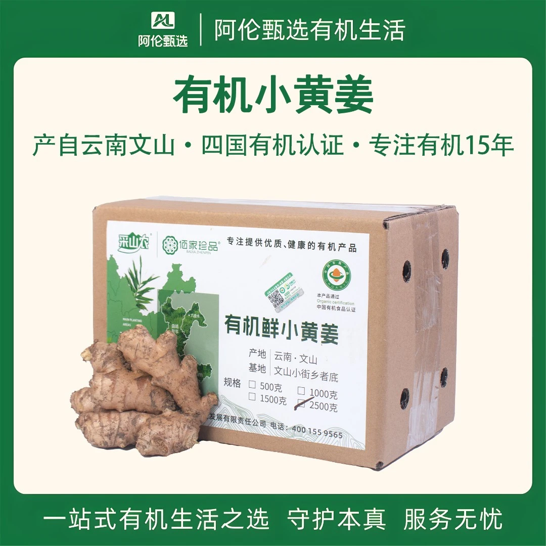 佰家珍品采山农【有机小黄姜】云南文山新鲜生姜现挖老姜鲜辣多汁