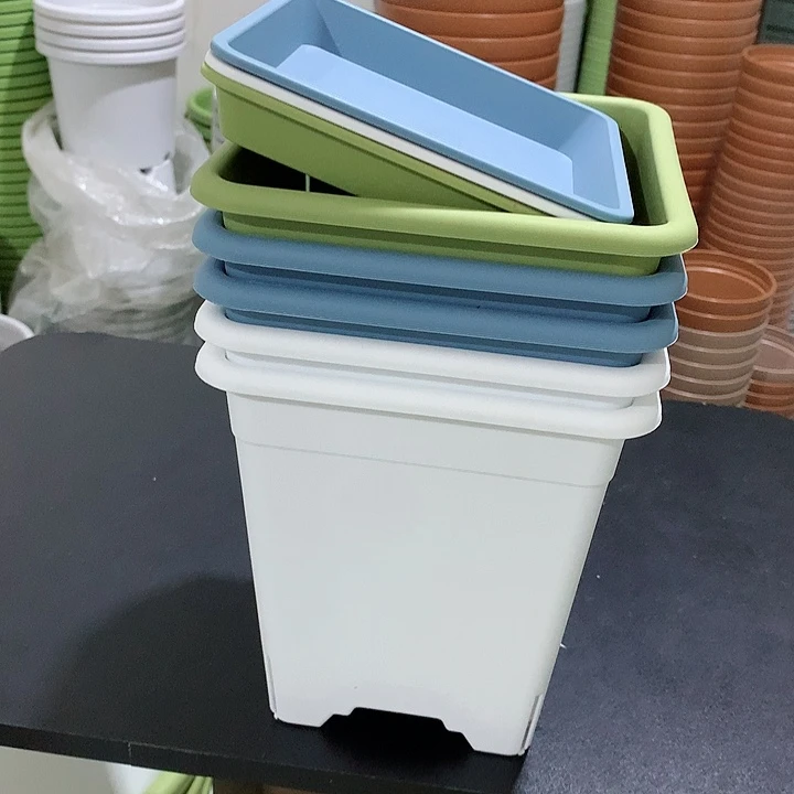 方口18白2蓝2绿1带托