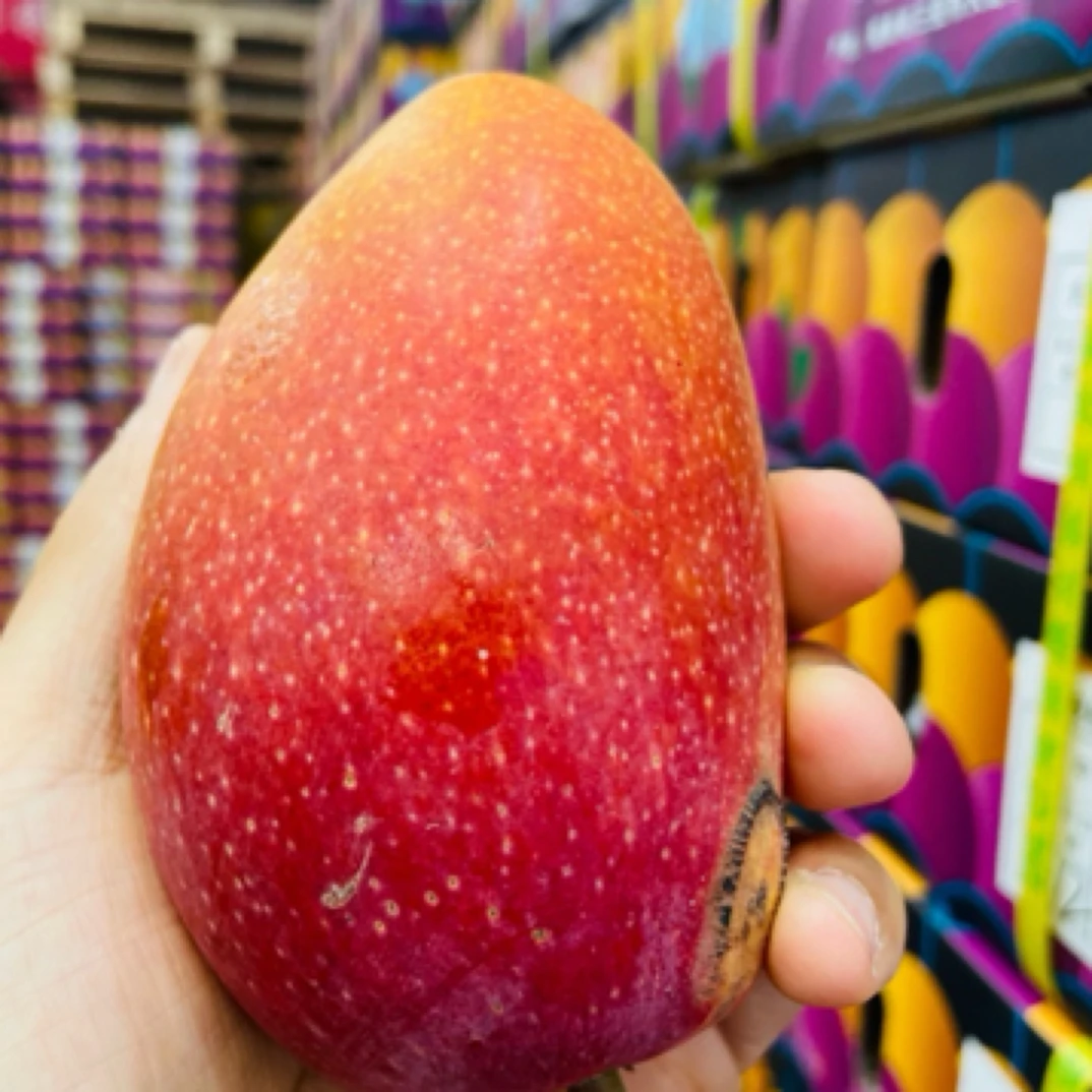 贵妃芒一箱毛重4.8斤（满38可送货