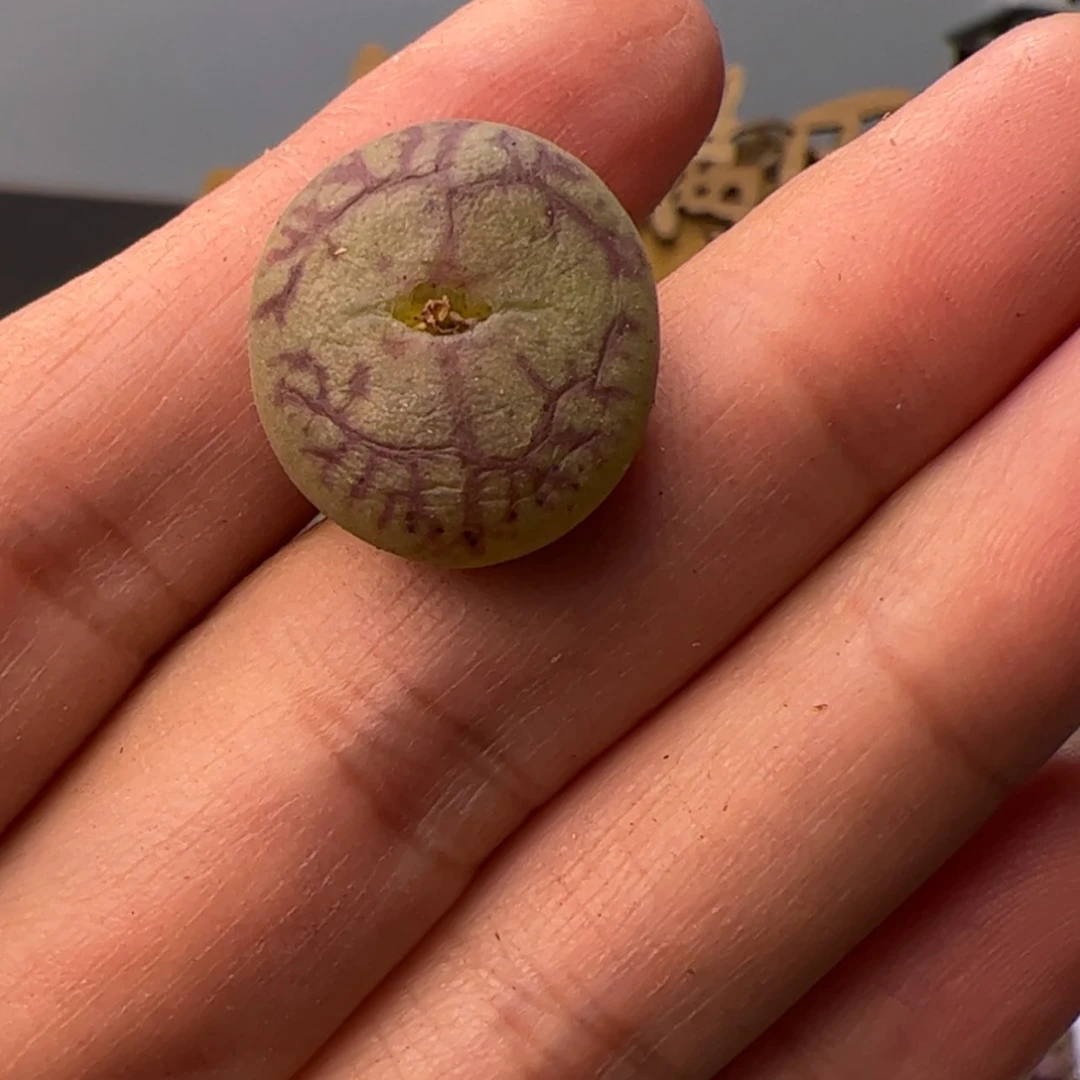 【闪购商品】0000000014