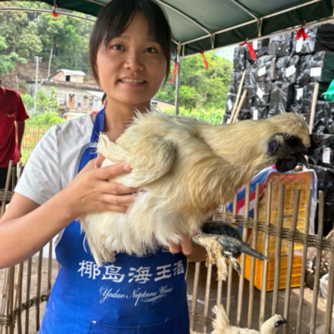 现称博白土乌鸡，顺丰发货，没有售后。