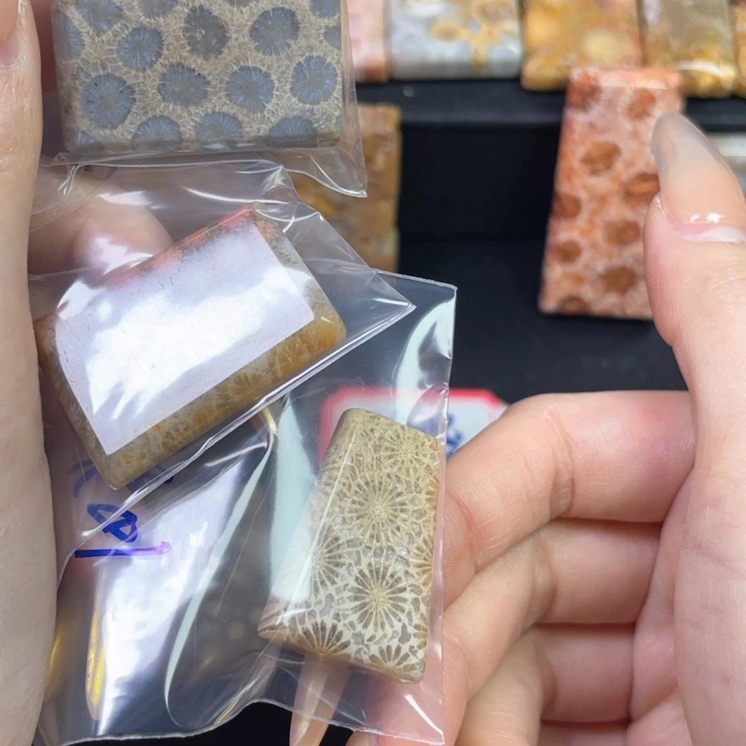 硅化珊瑚（珊瑚玉）吊坠未镶嵌