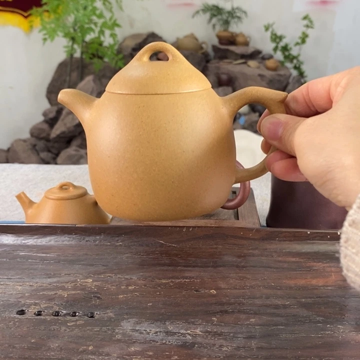 紫砂茶壶黄金段秦权220左右的容量半手制作