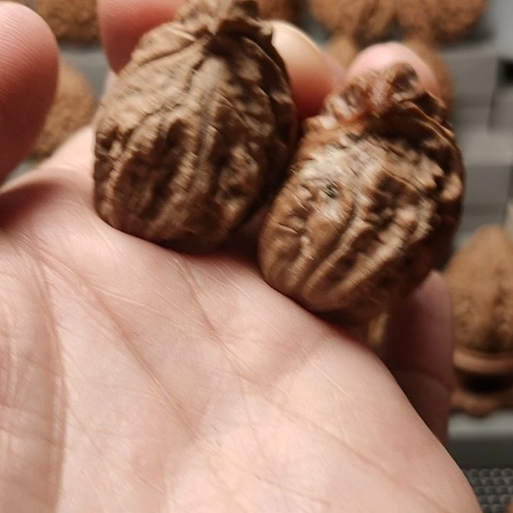 文玩核桃吊坠高*一只微裂9