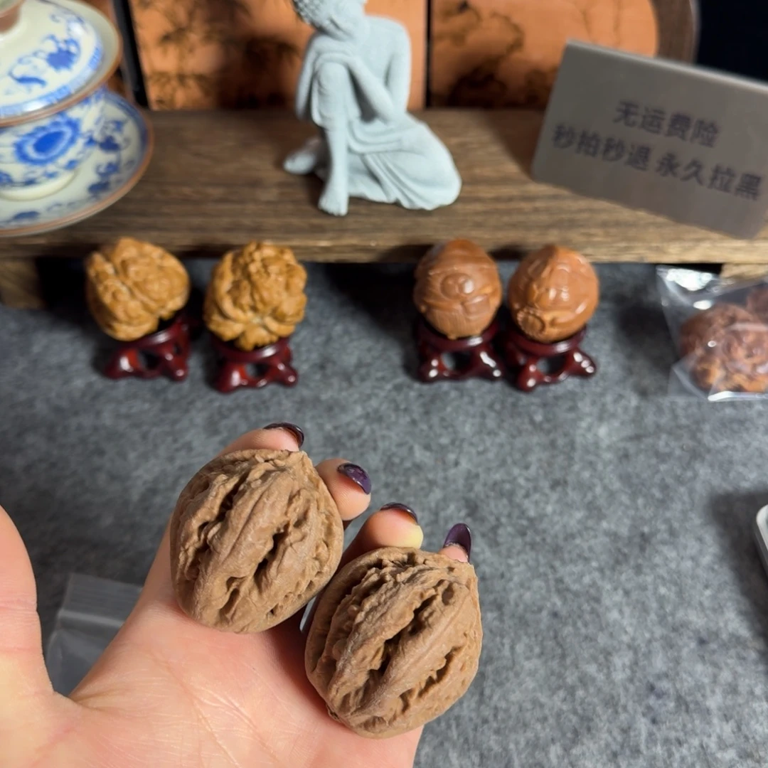 全品白茬啊40霸王龙