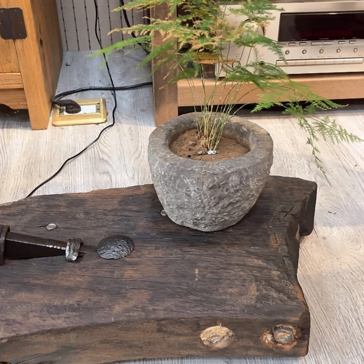 一***泓香榧木老物件木木木木木