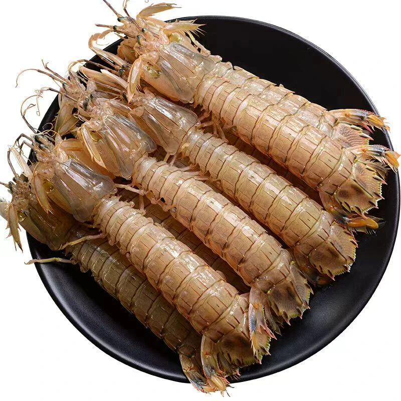 野生特大包肥带膏带黄皮皮虾富贵虾顺丰包邮