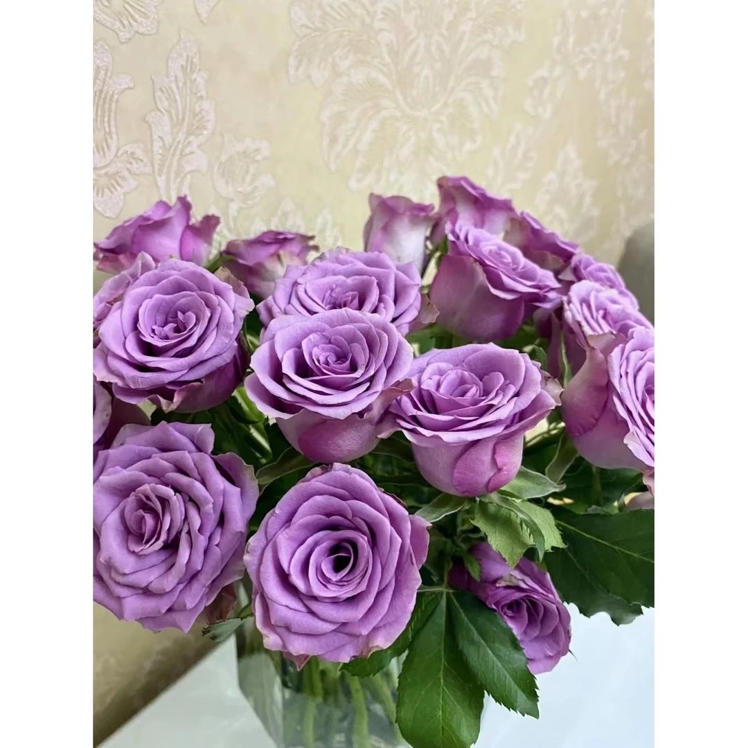 62 紫霞仙子10支+紫色铃铛花一小把+粉紫混菊3支+紫色紫罗兰一把