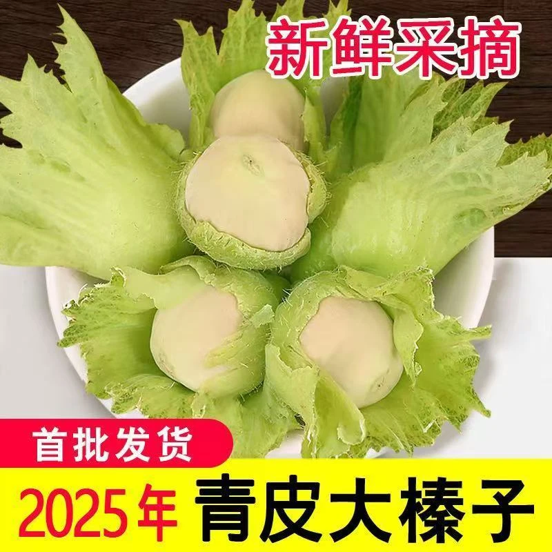 辽宁新鲜带绿皮大榛子现摘现发应季美味营养丰富