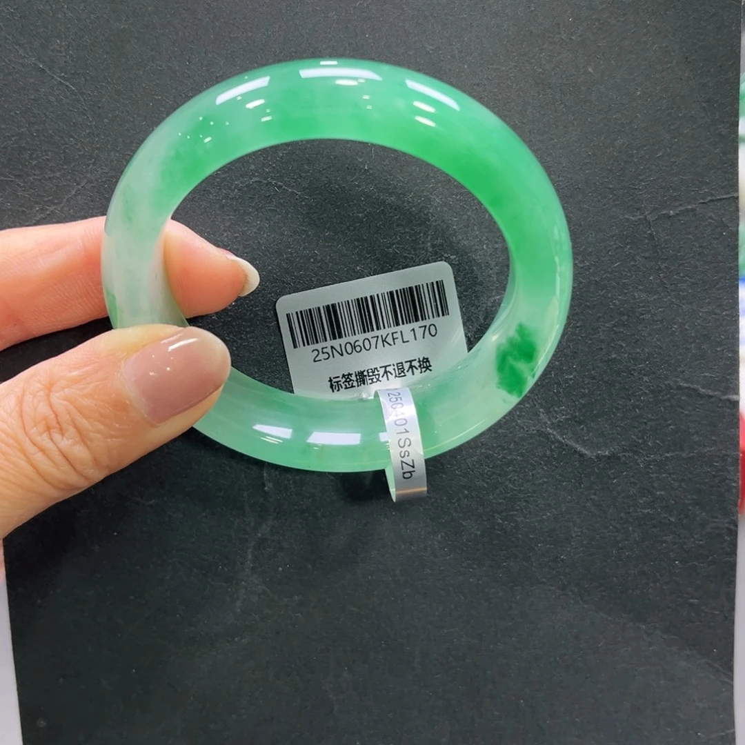 石英质玉（非洲翠）未镶嵌手镯➕小玥52