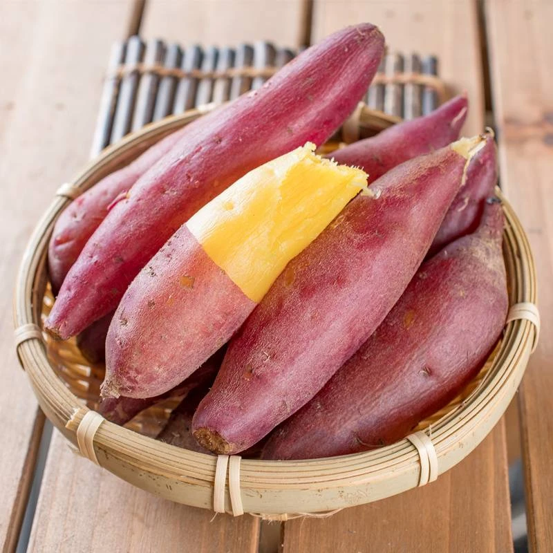 软糯香甜板栗小香薯
