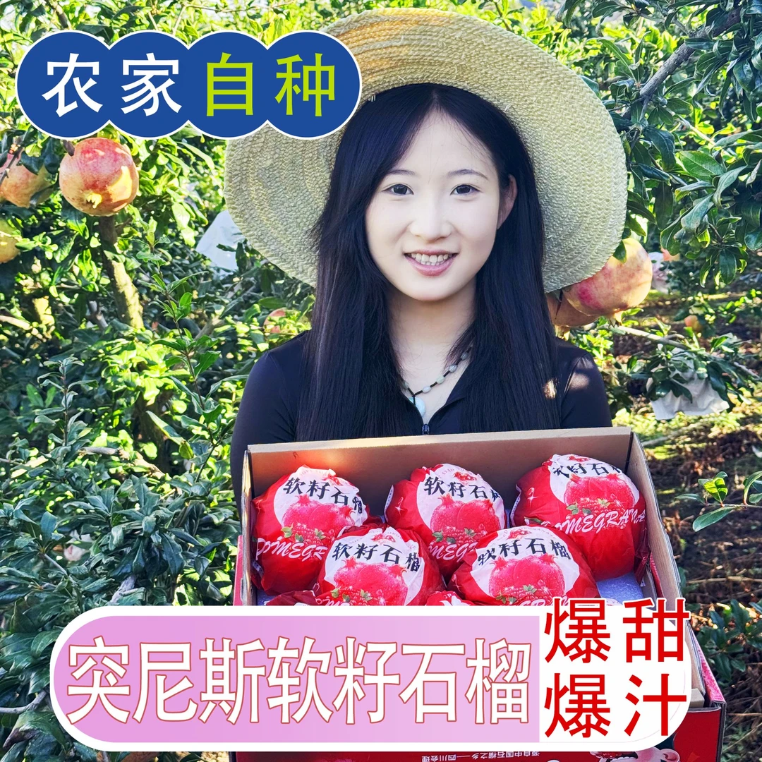 九顺精选四川大凉山会理软籽石榴新鲜采摘礼盒装中秋送亲朋