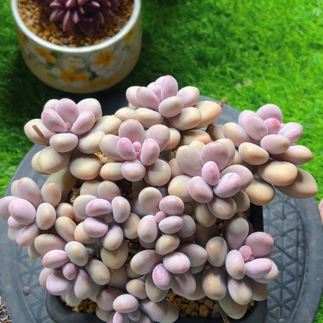 六七发货的111111111