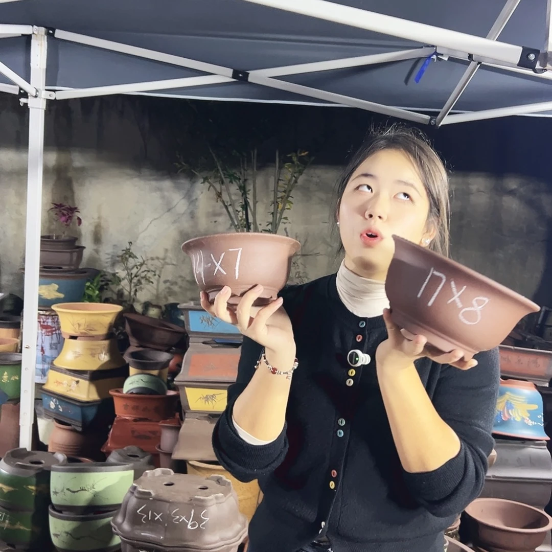 17+14查林小碗花盆花盆