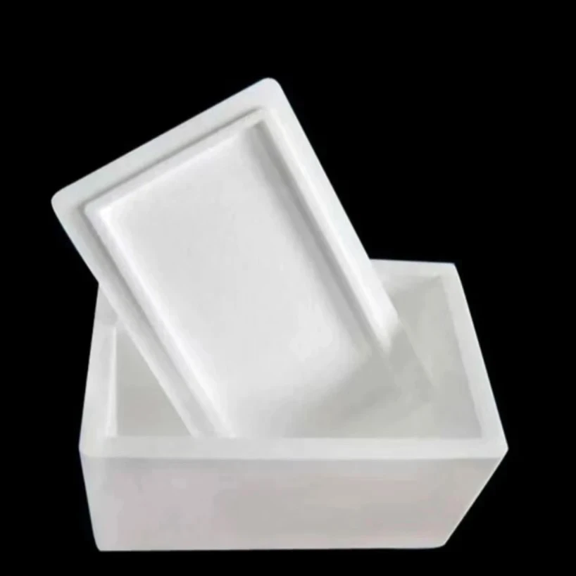 大号保温箱 （零度以下必拍）可以装5颗多肉 多肉植物