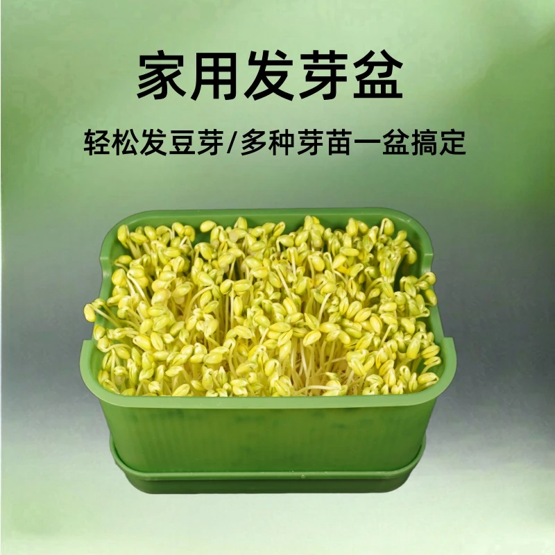 豆芽盒发芽盆新款家用黄豆芽绿豆芽花生芽水培芽苗新款加厚发芽盒