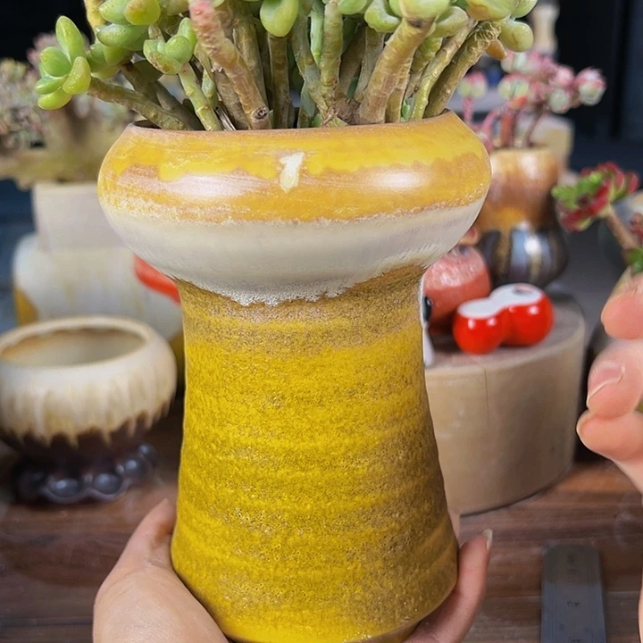 景德镇陶瓷2单包邮