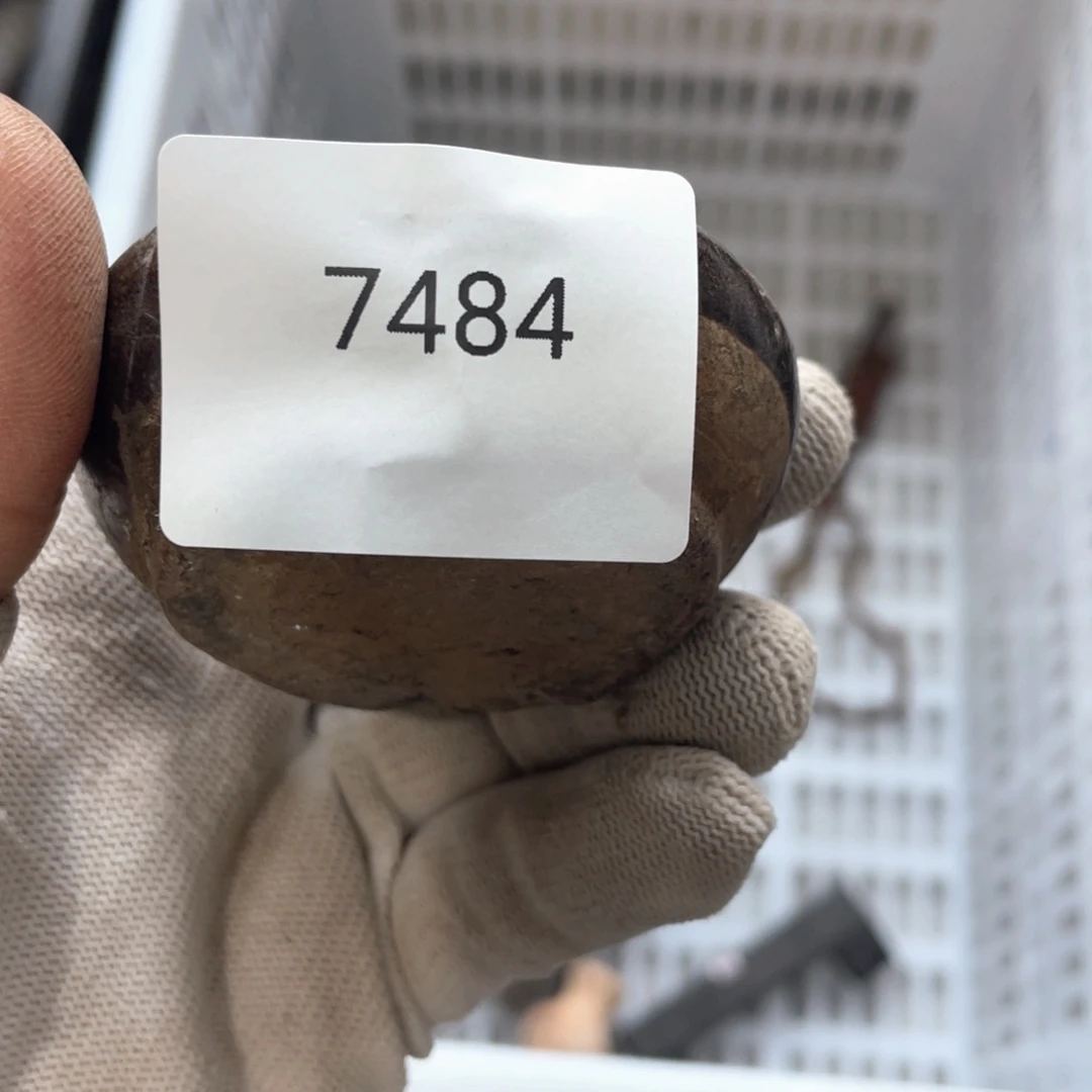 器5566778825050609夏***法7484