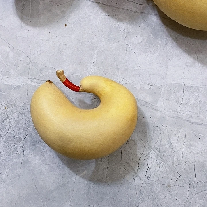 秋***o腰子葫芦发发发发发