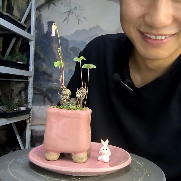 A*a中青园艺一物一拍217