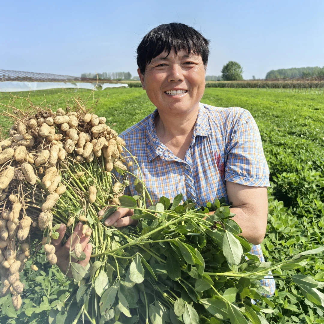 新鲜花生5斤精选好果，带泥现采现发自家种植粉皮带壳花生