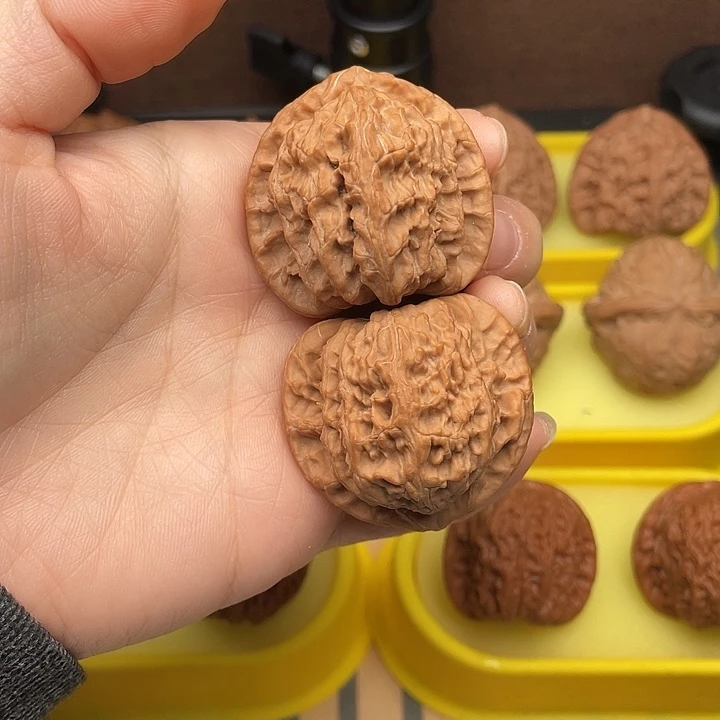 开播福利 三角白39。