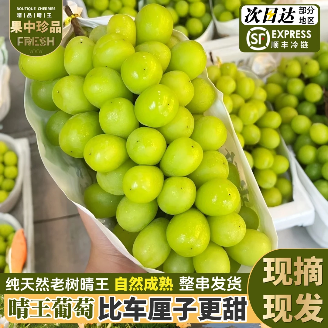 顺丰【5斤果王】次日达阳光玫瑰晴王葡萄新鲜美味头茬脆甜爽口Z