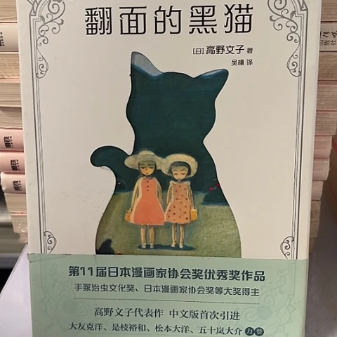 翻面的黑猫12闪购闪购