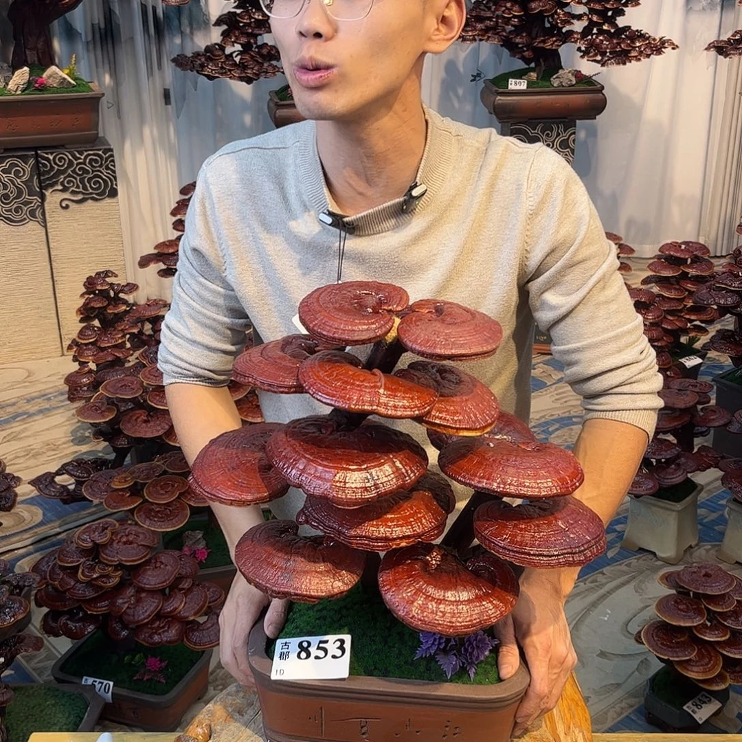 无花朵88888888888