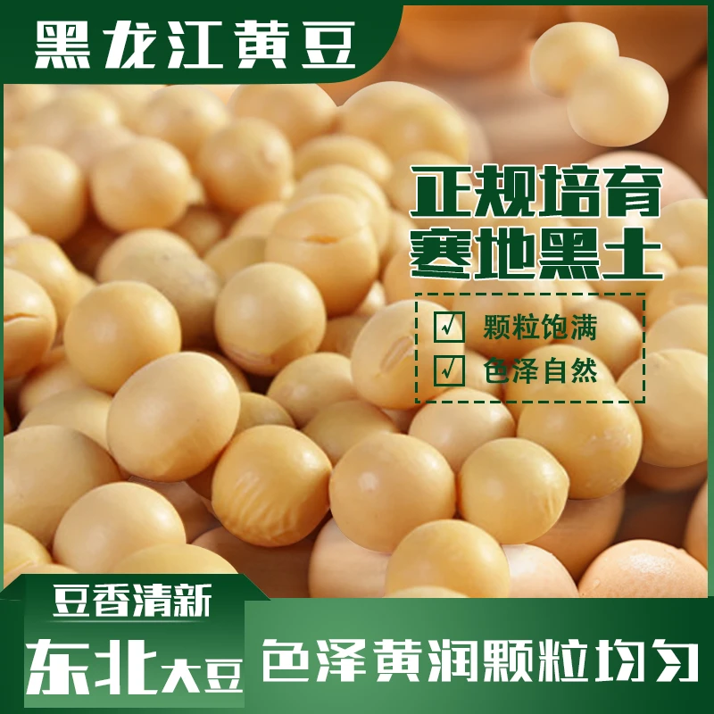 【到手一斤】非转基因东北黄豆农家自种打豆浆生豆芽饱满精选颗粒新