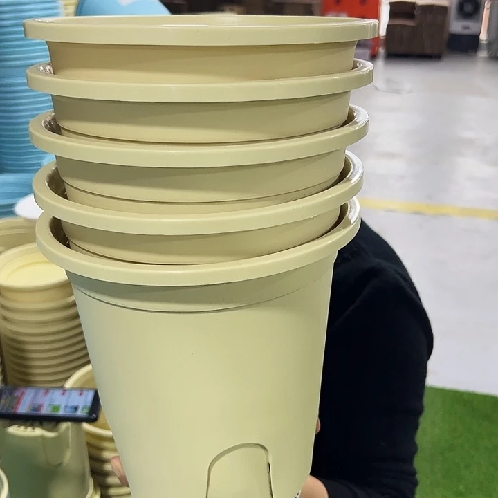 特价圆控口21高21黄色无托5只