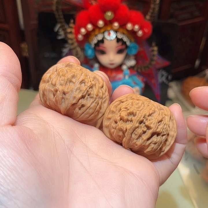 40天地狮子头，也叫二爷帽……