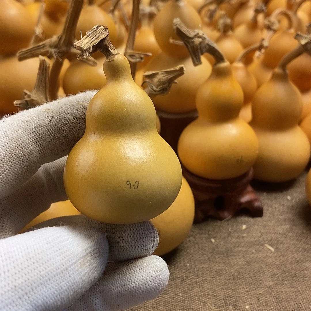 文玩葫芦 完美主义者 慎拍90