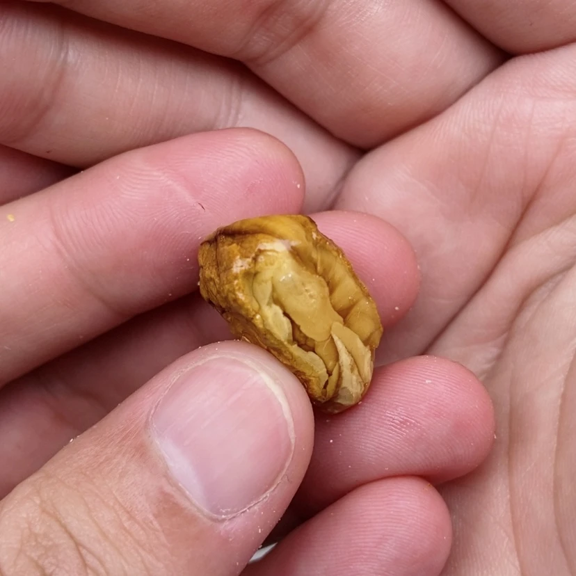 【闪购商品】定制琥珀未镶嵌蜜蜡