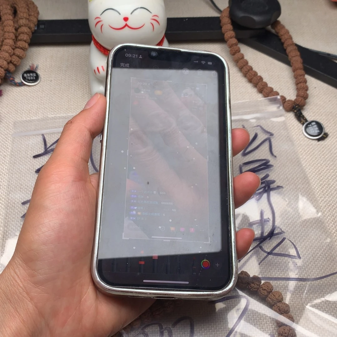 南***极金刚菩提手串老树王