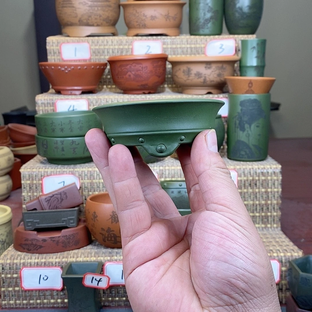 紫砂花盆我在等一