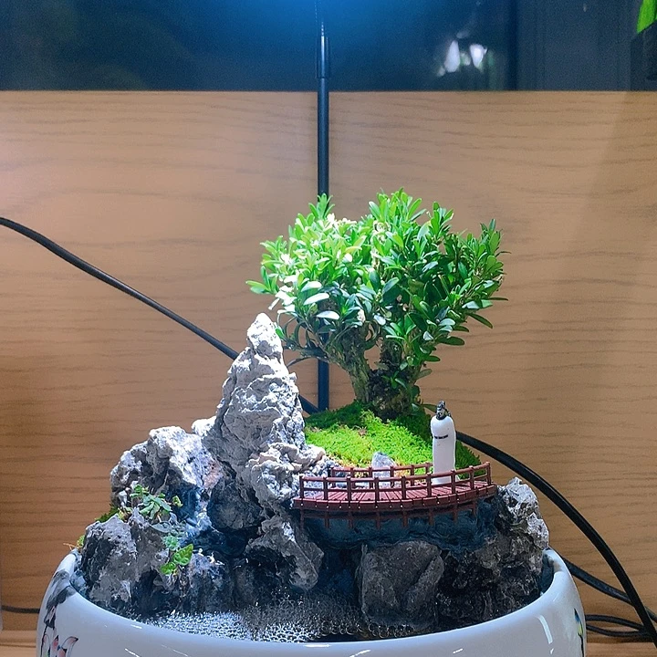 无花朵带灯一整套