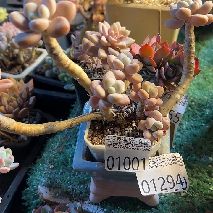 幸运的是我还没遇到过这样