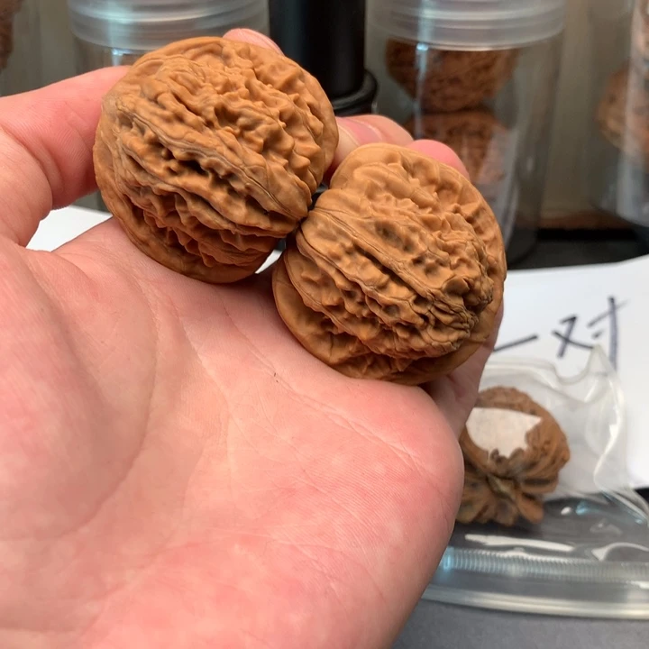 核桃41尺寸全品四座楼