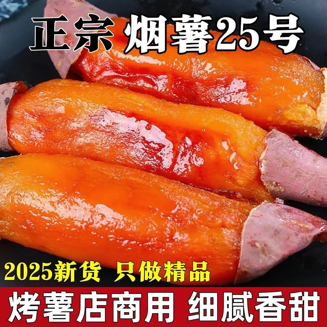 正宗黄心蜜薯新鲜现挖软糯香甜糖心地瓜红薯