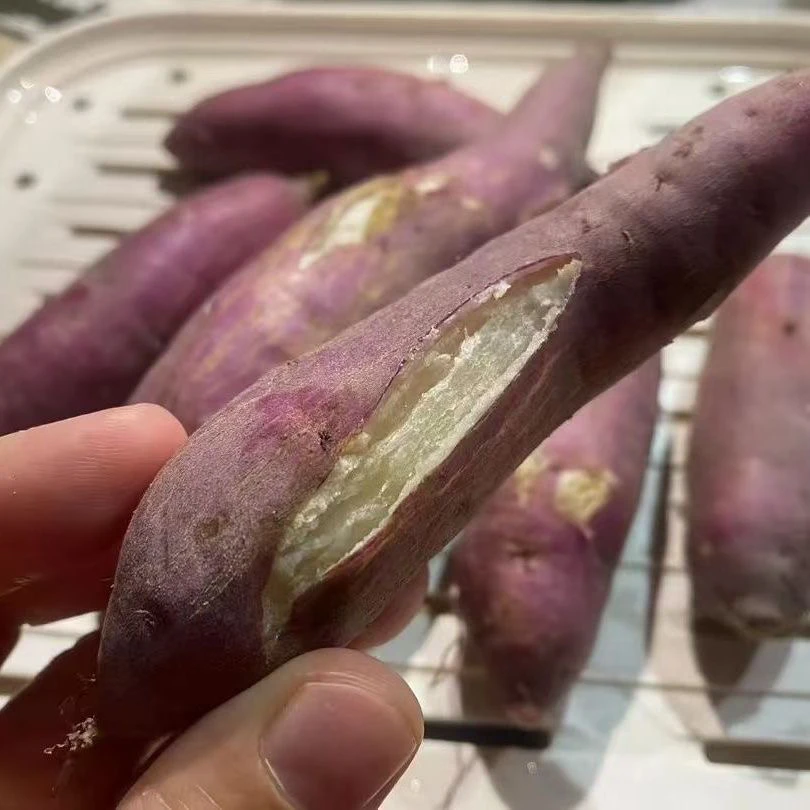 海南正宗三角宁地瓜粉甜白心红薯现挖一整箱富硒新鲜海南新鲜农家