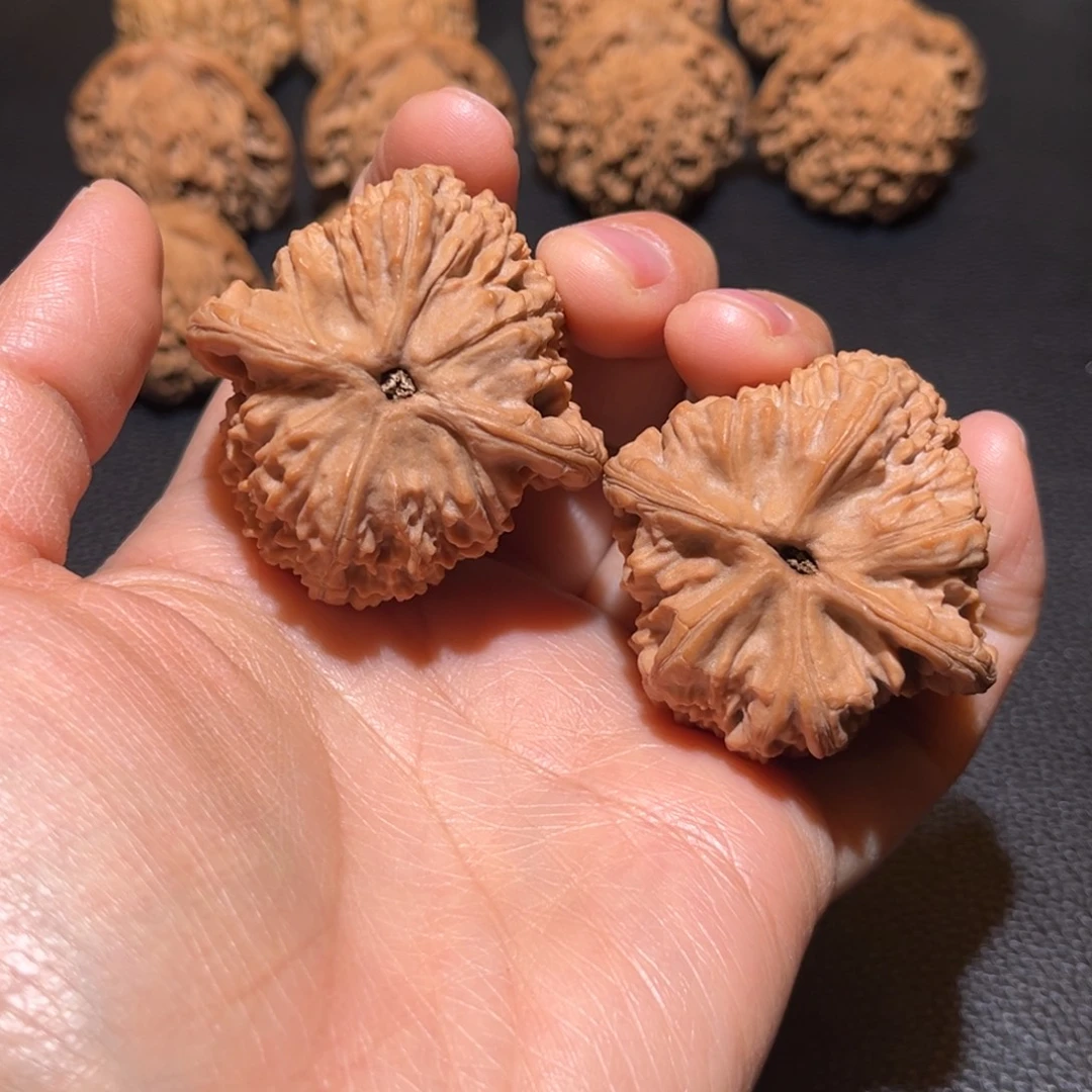 文玩核桃把件红狮子43