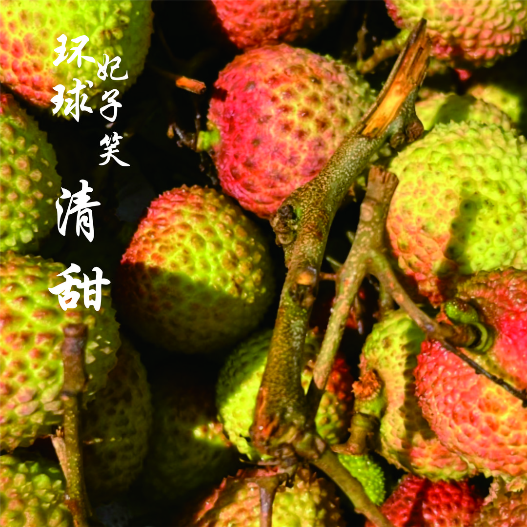 【海南环球基地妃子笑】荔枝皮薄核小清甜多汁预售保新鲜妃子笑荔枝