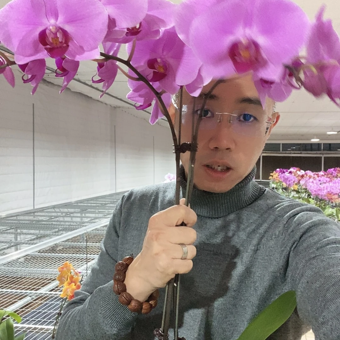 完全开放带花苞泗水2颗