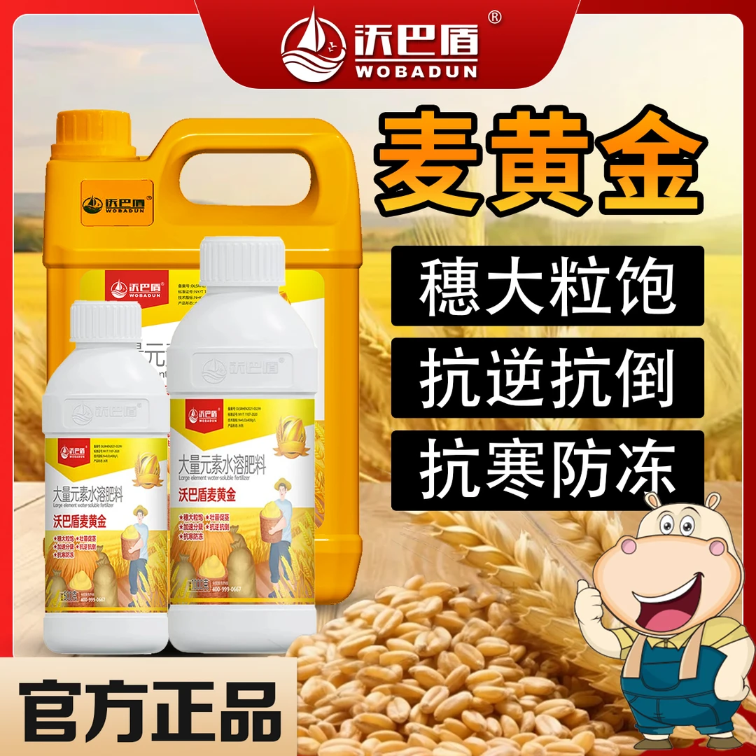 【沃巴盾麦黄金抗寒防冻壮苗促茎抗逆抗倒伏穗大粒饱水溶肥料】