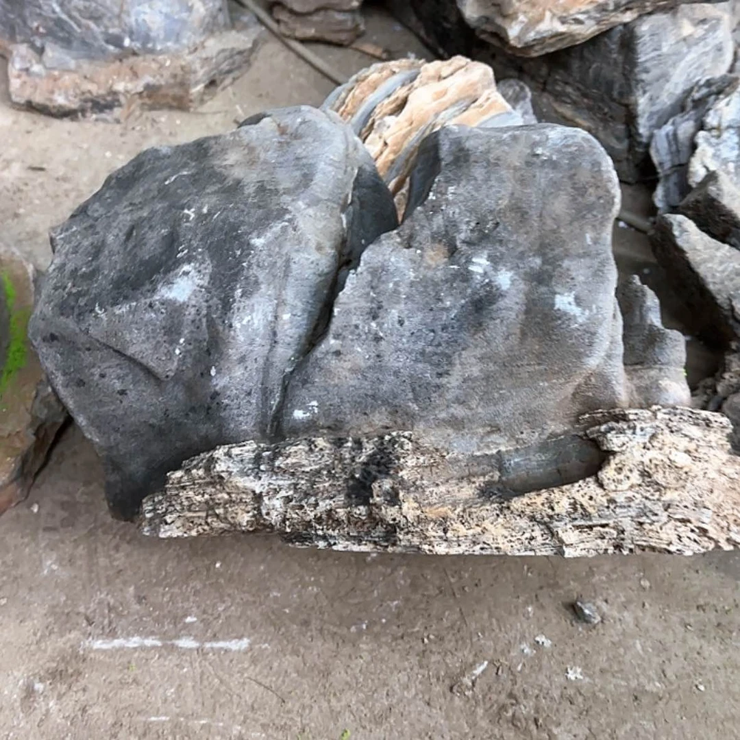 【闪购商品】香榧木?喝汤还是会觉得特别难受