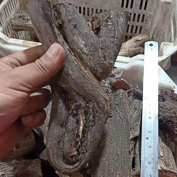 巫***客柏木（崖柏）崖柏原叉崖柏原叉