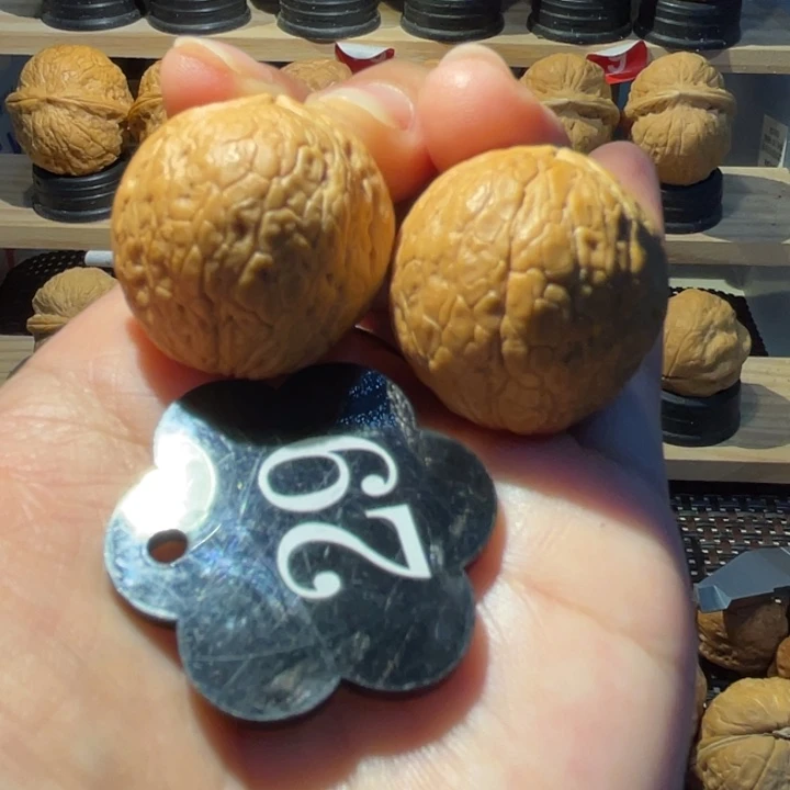 铁核桃蛇皮球31尺